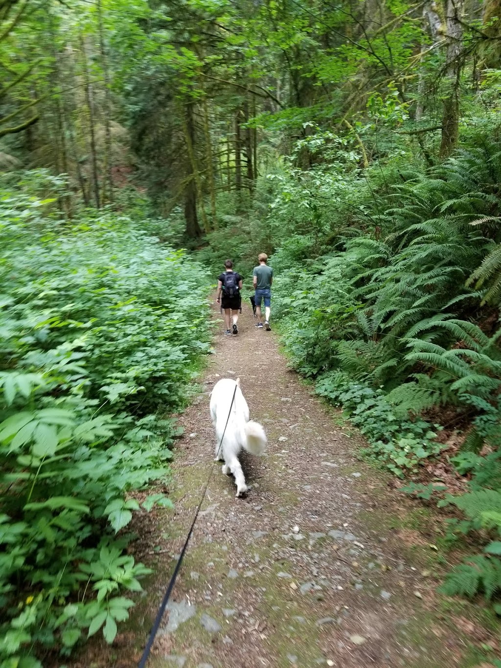 Lookout Arts Quarry | 246 Old Hwy 99 N, Bellingham, WA 98229, USA | Phone: (360) 389-2788