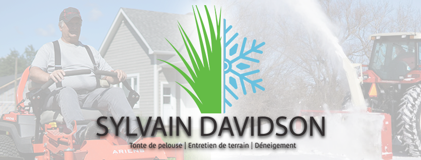Sylvain Davidson | 1339 Chemin de la Côte St Pierre, Saint-André-Avellin, QC J0V 1W0, Canada | Phone: (819) 921-0397