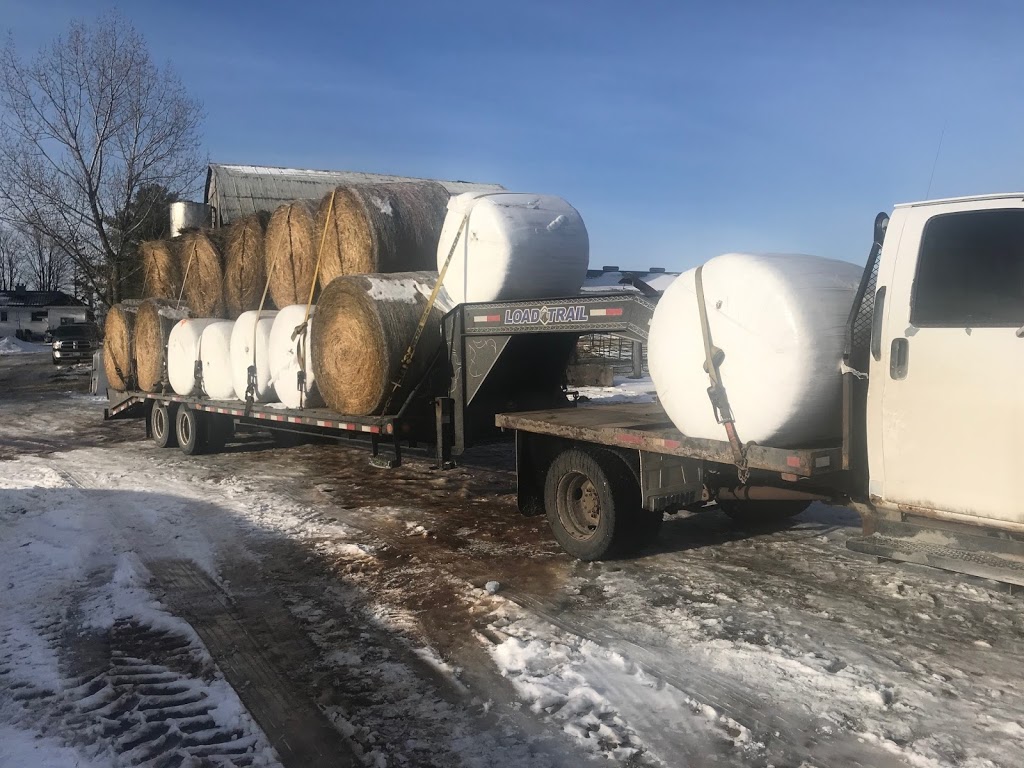 Dobson Trucking | 1207 10 Line N, Hawkestone, ON L0L 1T0, Canada | Phone: (705) 323-2062