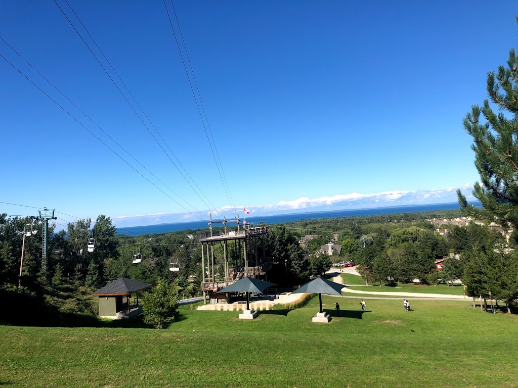 Ridge Runner Mountain Coaster | 150 Jozo Weider Blvd Unit AY2, The Blue Mountains, ON L9Y 0P7, Canada | Phone: (833) 583-2583