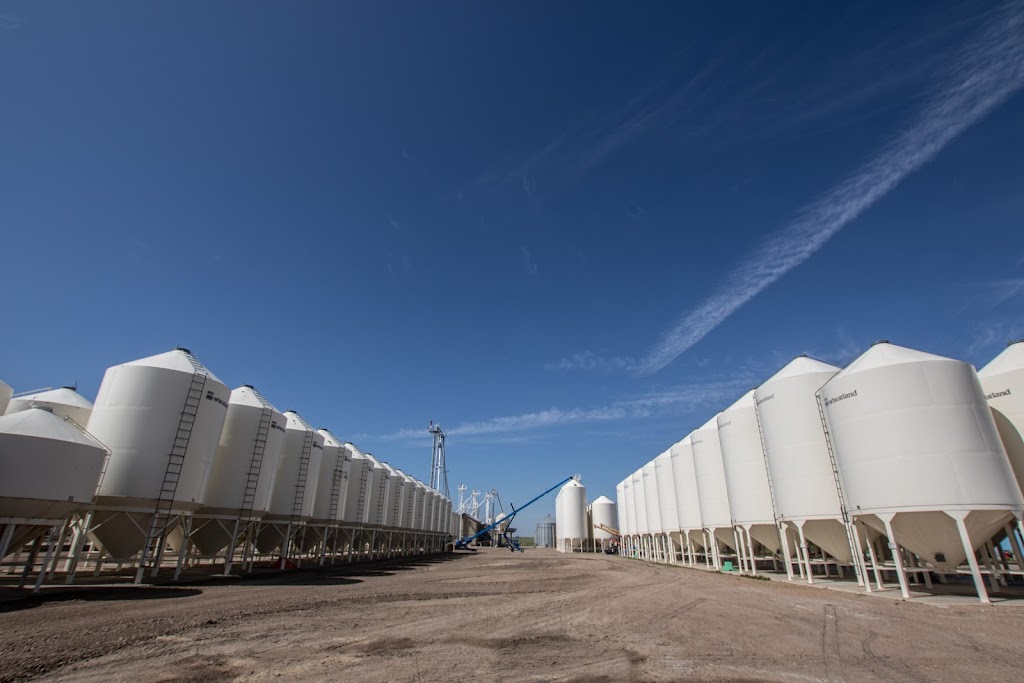K3 Seeds | 110021, Range Road 20-3, Picture Butte, AB T0K 1V0, Canada | Phone: (403) 738-4517
