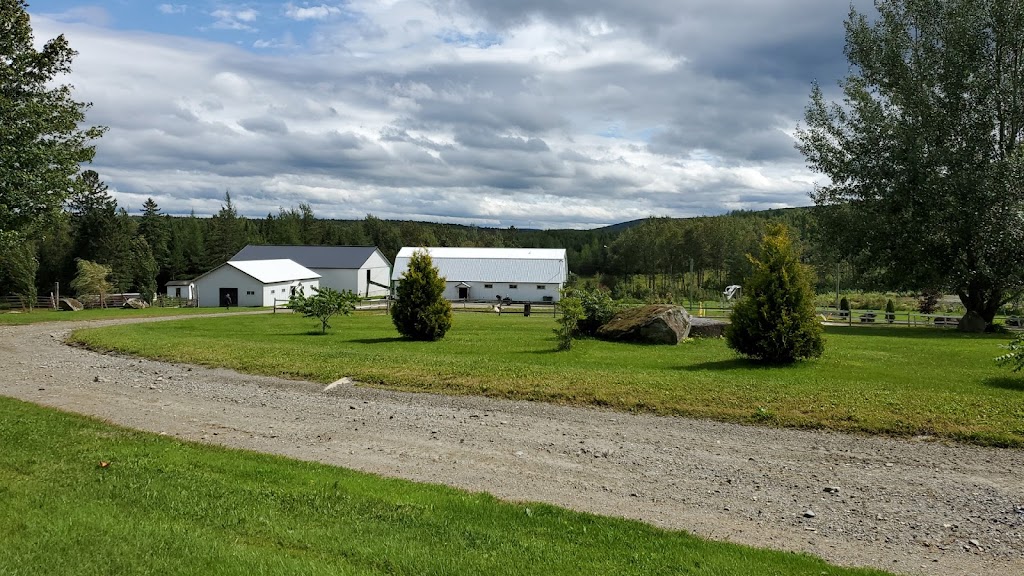 Ranch Winslow | 920 QC-161, Le Granit, QC G0Y 1N0, Canada | Phone: (418) 443-5519