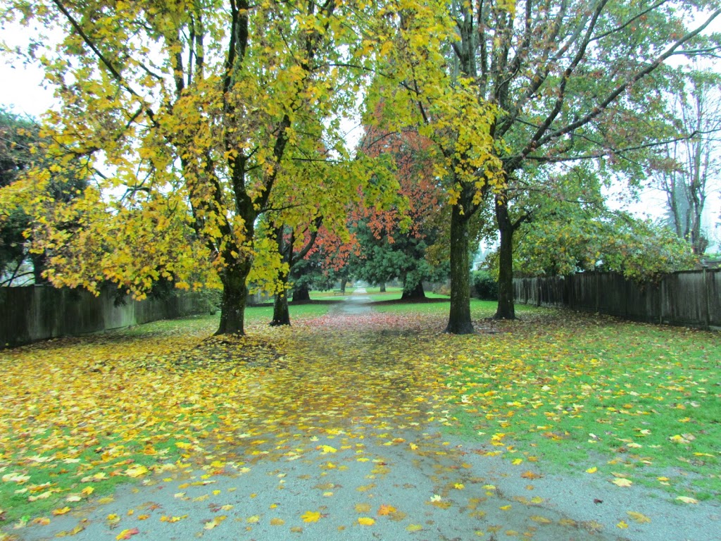 Alderwood Strip | Alderwood Pl, North Vancouver, BC V7P 1K8, Canada | Phone: (604) 990-2311