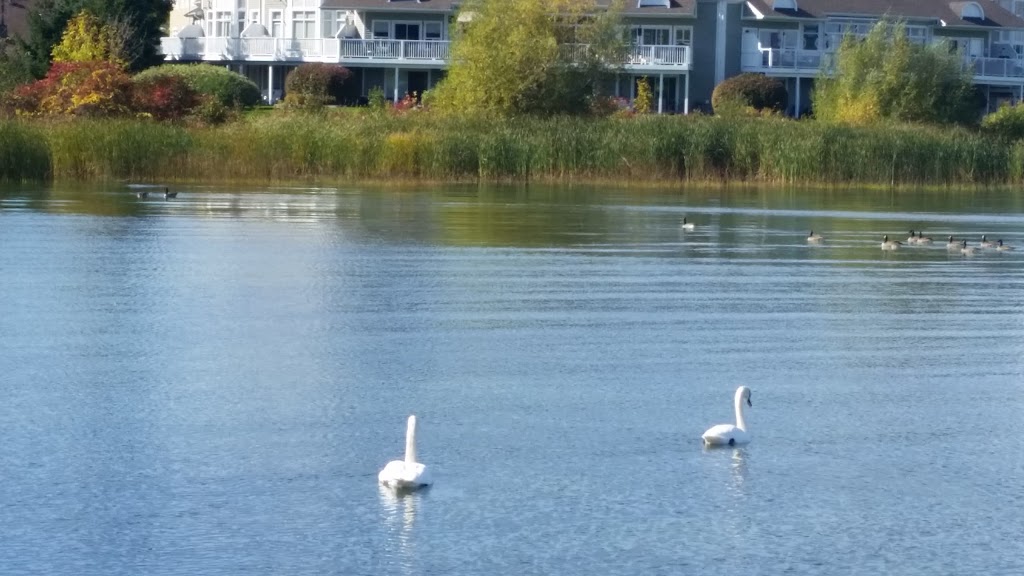 Law Cranberry Resort Ltd | 5 Cranberry Quay, Collingwood, ON L9Y 0B3, Canada | Phone: (705) 446-0400