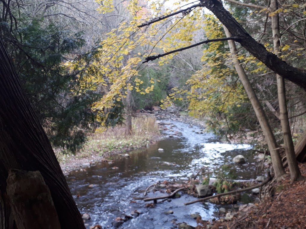 Tooleys Mill Park | 71 Old Kingston Rd, Courtice, ON L1E 2R8, Canada | Phone: (905) 410-0399