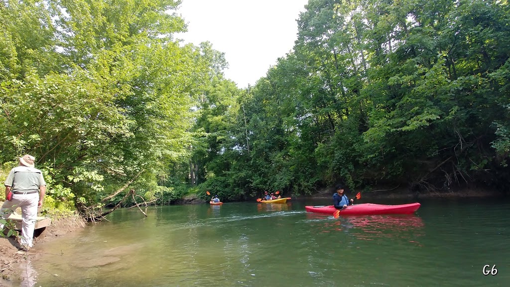 Big Creek Paddle Adventures | Hwy 59 & 3rd Concession, 1730 Front Rd, St Williams, ON N0E 1P0, Canada | Phone: (519) 420-1218
