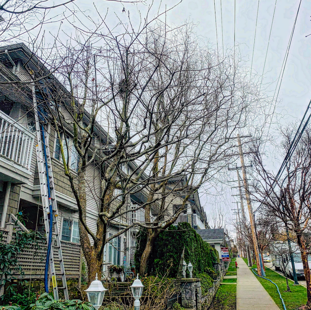 RMJ Property Services | 8570 204 St #77, Langley Twp, BC V2Y 2B3, Canada | Phone: (778) 997-2375