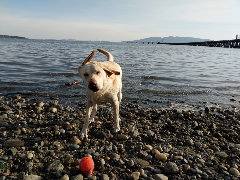 Little Squalicum Park | 640 Marine Dr, Bellingham, WA 98225, USA | Phone: (360) 778-8000
