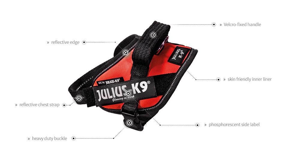Julius K9 Canada | 8 Newton Gate, Markham, ON L3P 3R5, Canada | Phone: (437) 345-8324