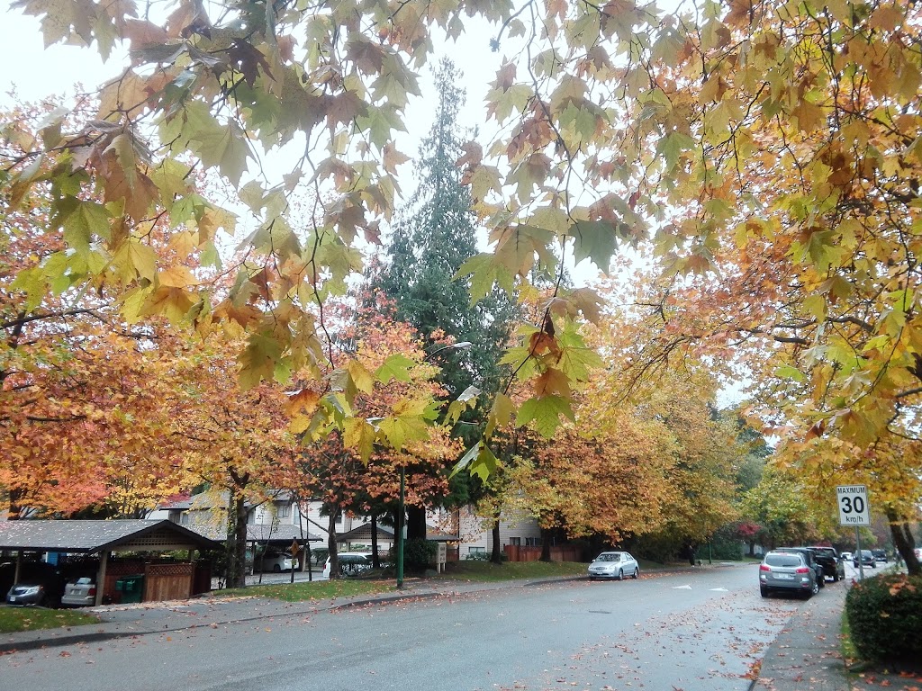 Cedar Village Projectcare | 1866 Rufus Dr, North Vancouver, BC V7J 3L7, Canada | Phone: (604) 833-9642
