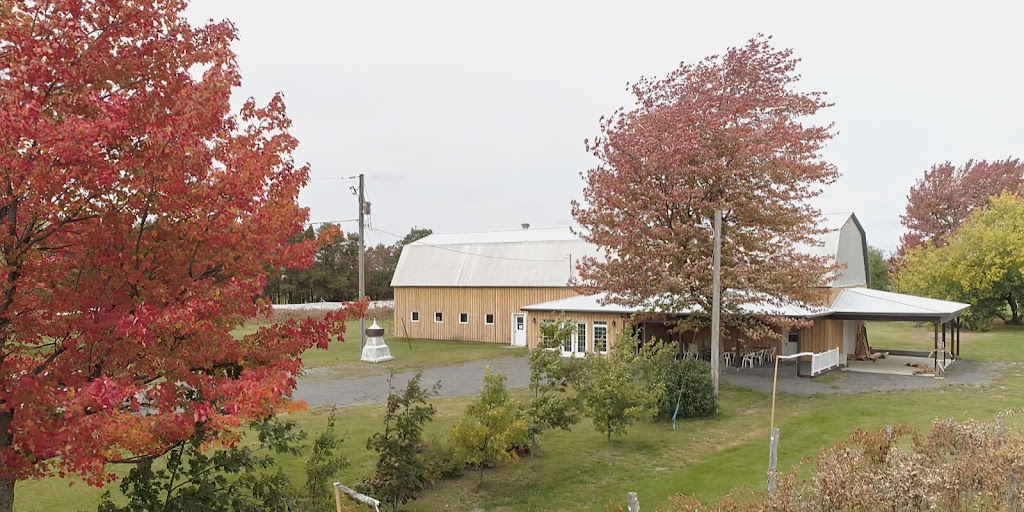 Vignoble Terre des Passions | 1218 QC-161, Saint-Valère, QC G0P 1M0, Canada | Phone: (418) 815-7572