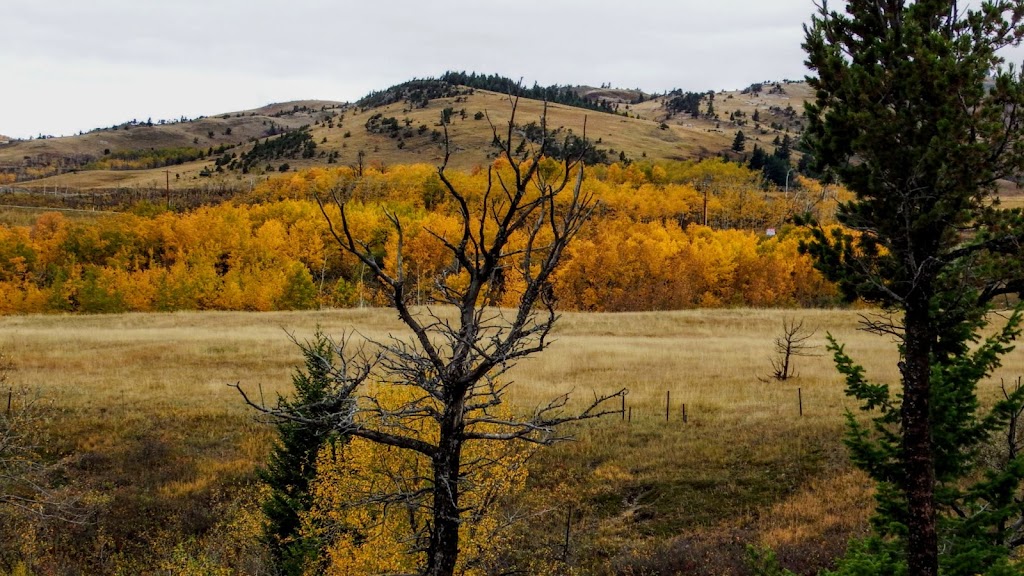 Lundbreck Falls Provincial Recreation Area | Pincher Creek No. 9, AB T0K 1H0, Canada | Phone: (403) 627-1165
