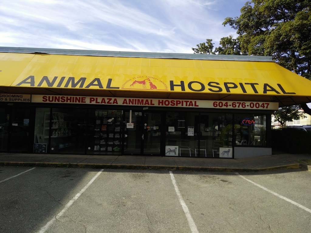 Sunshine Plaza Animal Hospital | 908 16th St W Unit 1, North Vancouver, BC V7P 1R3, Canada | Phone: (604) 676-0047