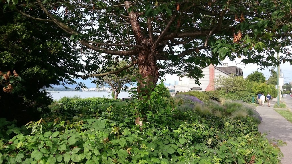 Jean Beaty Park | 3393 Point Grey Rd, Vancouver, BC V6R 1A4, Canada | Phone: (604) 873-7000