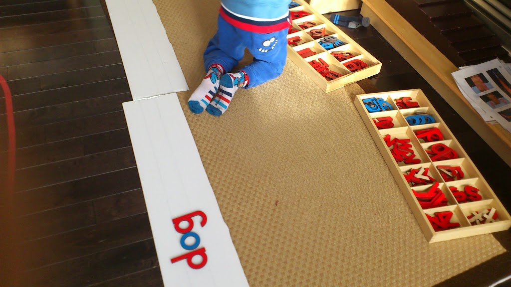 Five Stars Montessori Preschool | 75 Covepark Way NE, Calgary, AB T3K 5T8, Canada | Phone: (403) 650-1594