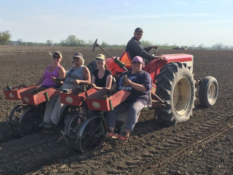 Vandorp Farms | 3786 Northumberland County Rd 28, Port Hope, ON L1A 3V6, Canada | Phone: (905) 373-3191