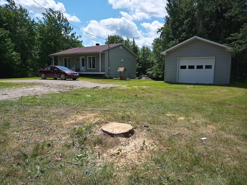 Praticien en chamanisme | Stoke, QC J0B 3G0, Canada | Phone: (819) 679-1410