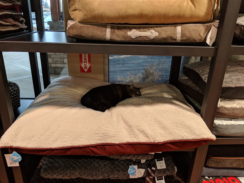 Bosleys by Pet Valu | 2362 Whatcom Road, Abbotsford, BC V3G 2L5, Canada | Phone: (604) 859-9056