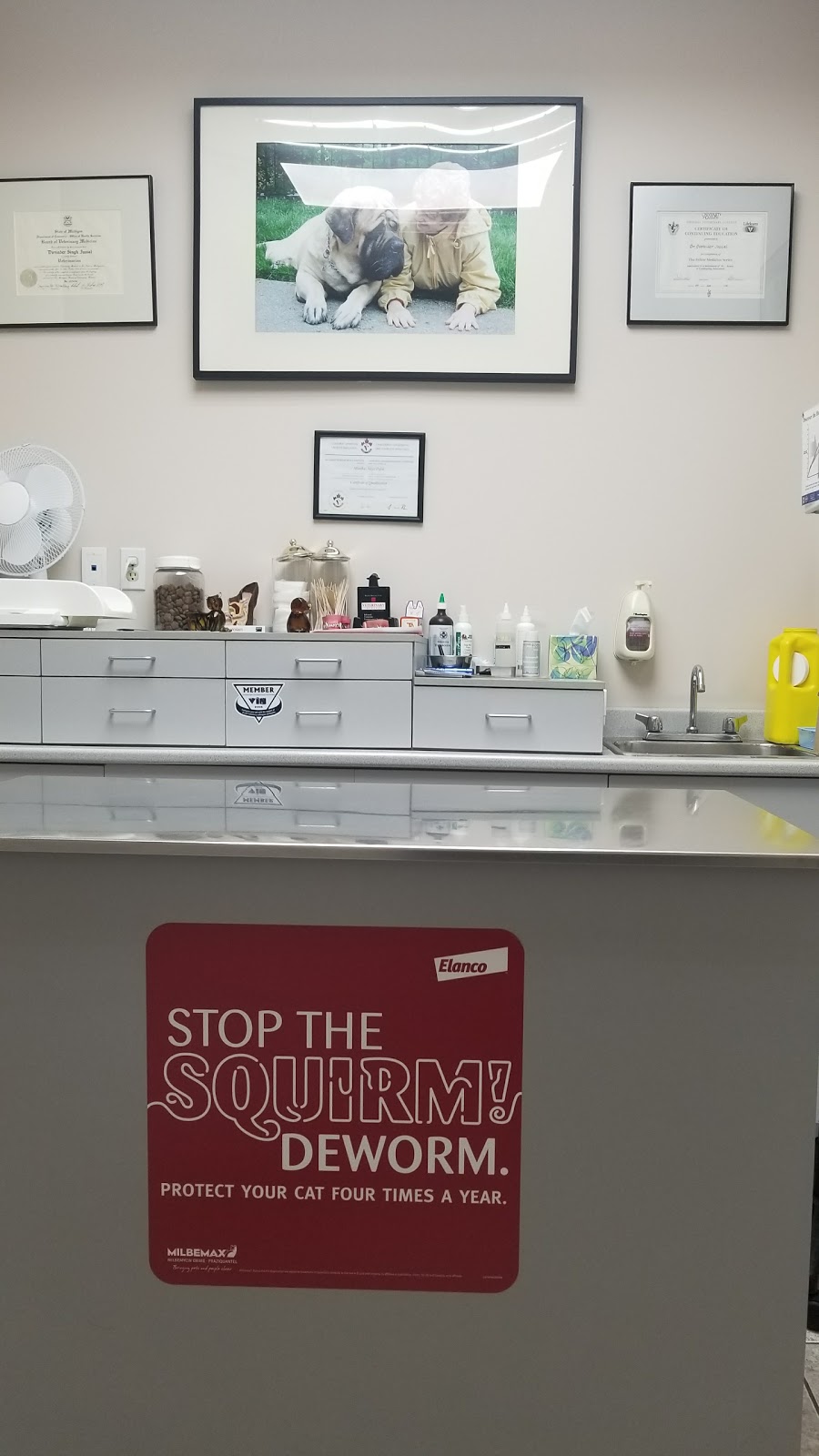 Eglinton-Hwy 10 Veterinary Clinic | 295 Eglinton Ave E, Mississauga, ON L4Z 3K6, Canada | Phone: (905) 890-7964