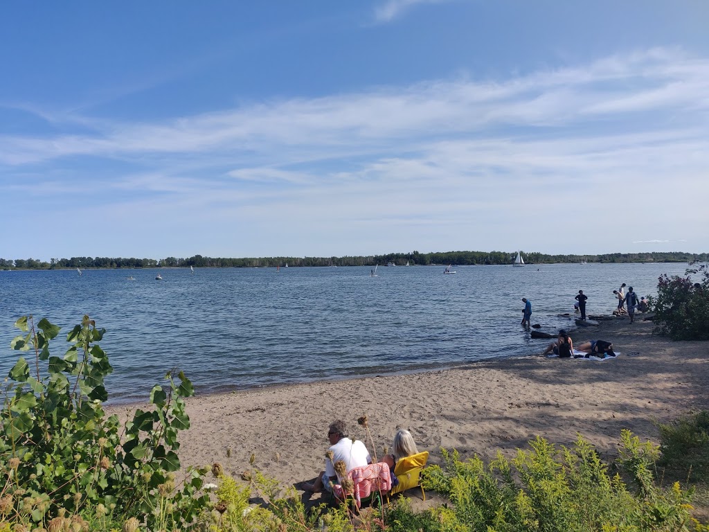 The Water Rat Sailing Club | 4 Regatta Rd, Toronto, ON M5A 0H0, Canada | Phone: (416) 712-7444