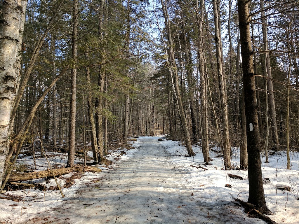 Robinson Tract | 14989 Warden Ave, Whitchurch-Stouffville, ON L4A 7X5, Canada