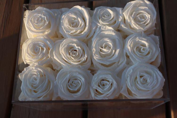 Roses for You | 87 Peter St, Toronto, ON M5V 0P1, Canada | Phone: (647) 800-1142