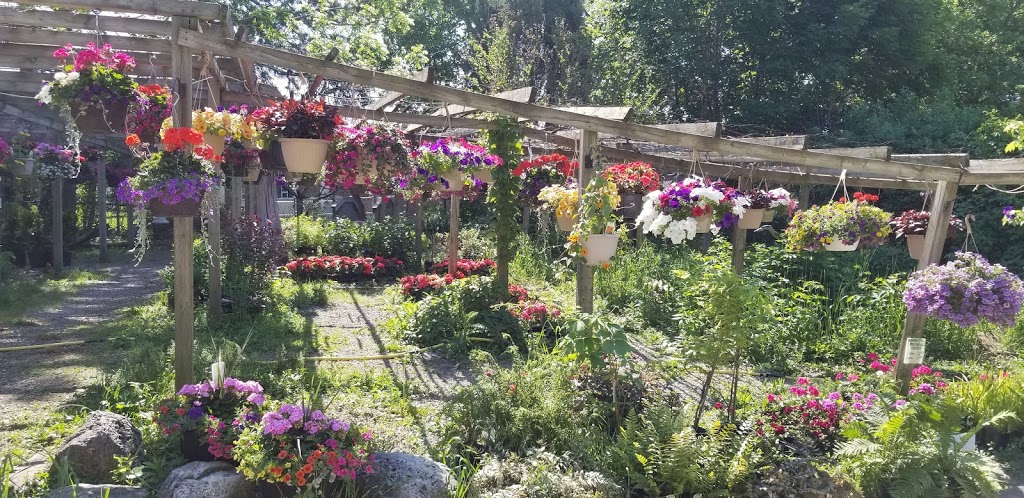 Wears Flowers & Garden Centre | 1814 King St E, Hamilton, ON L8K 1V7, Canada | Phone: (905) 544-4906