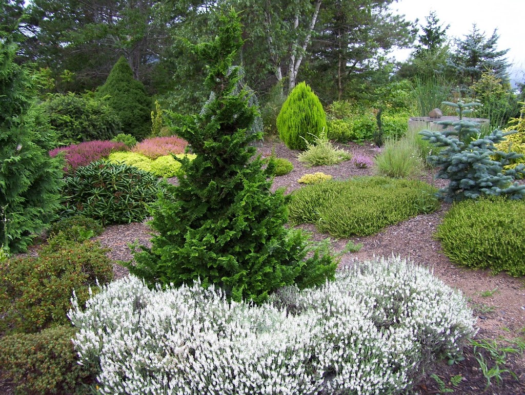 Bunchberry Nurseries | 2779 Nova Scotia Trunk 1, Annapolis Royal, NS B0S 1A0, Canada | Phone: (902) 532-7777