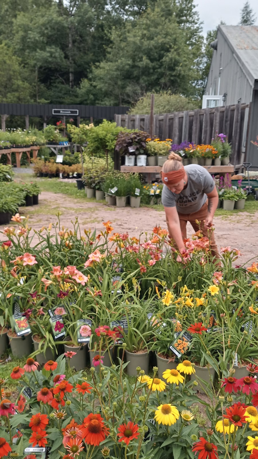 Garden Market By Sandhill | 85 Ontario St, Burks Falls, ON P0A 1C0, Canada | Phone: (705) 382-2442
