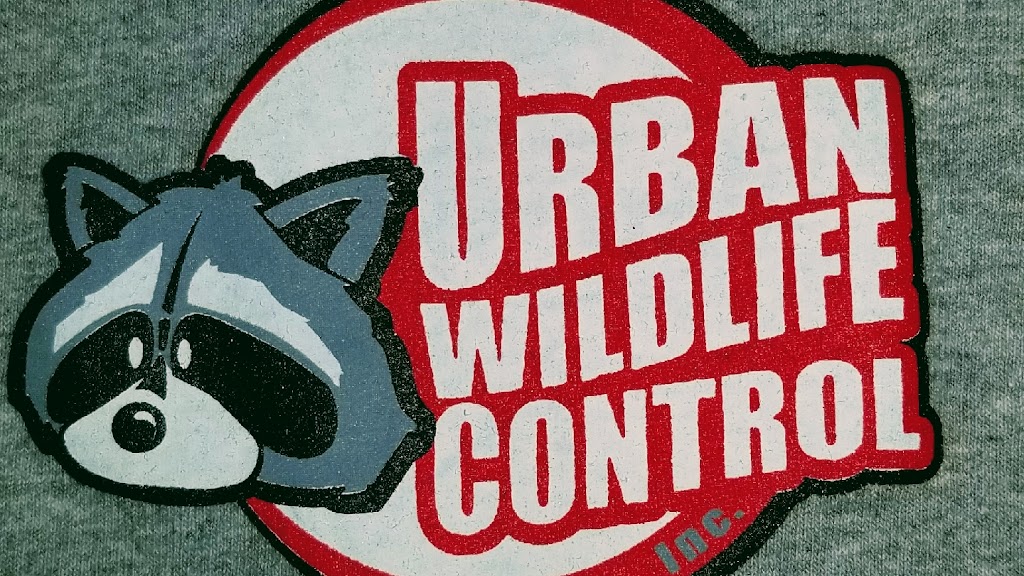 Urban Wildlife Control Inc. | 264295 Southgate Rd 26, Durham, ON N0G 1R0, Canada | Phone: (519) 888-7828