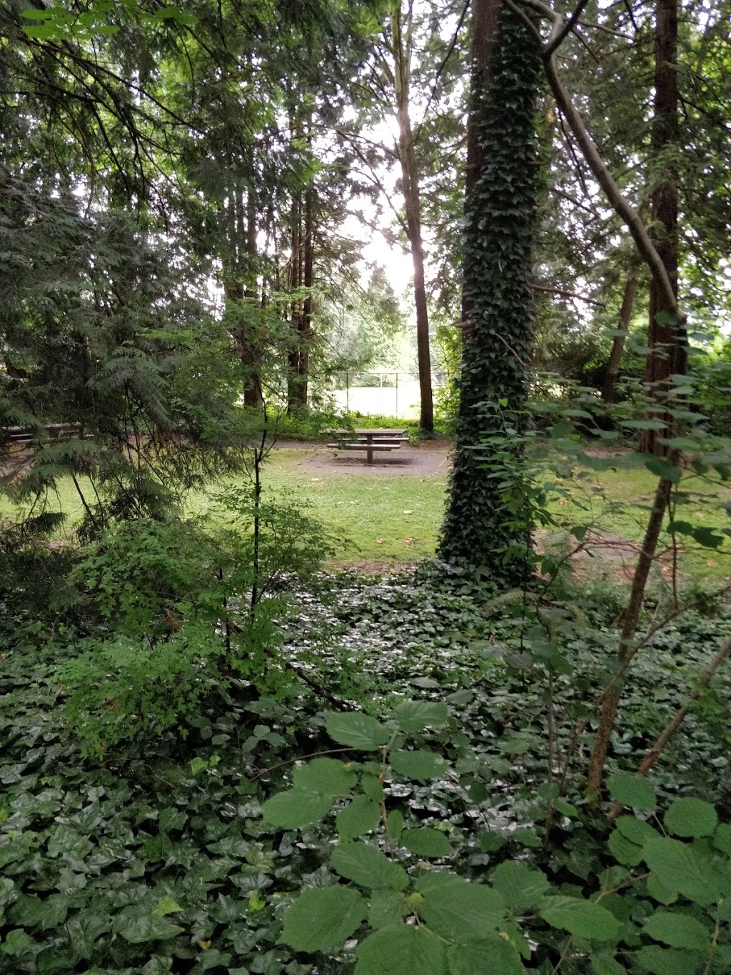 Macey Park | Burnaby, BC V5G 3Z6, Canada