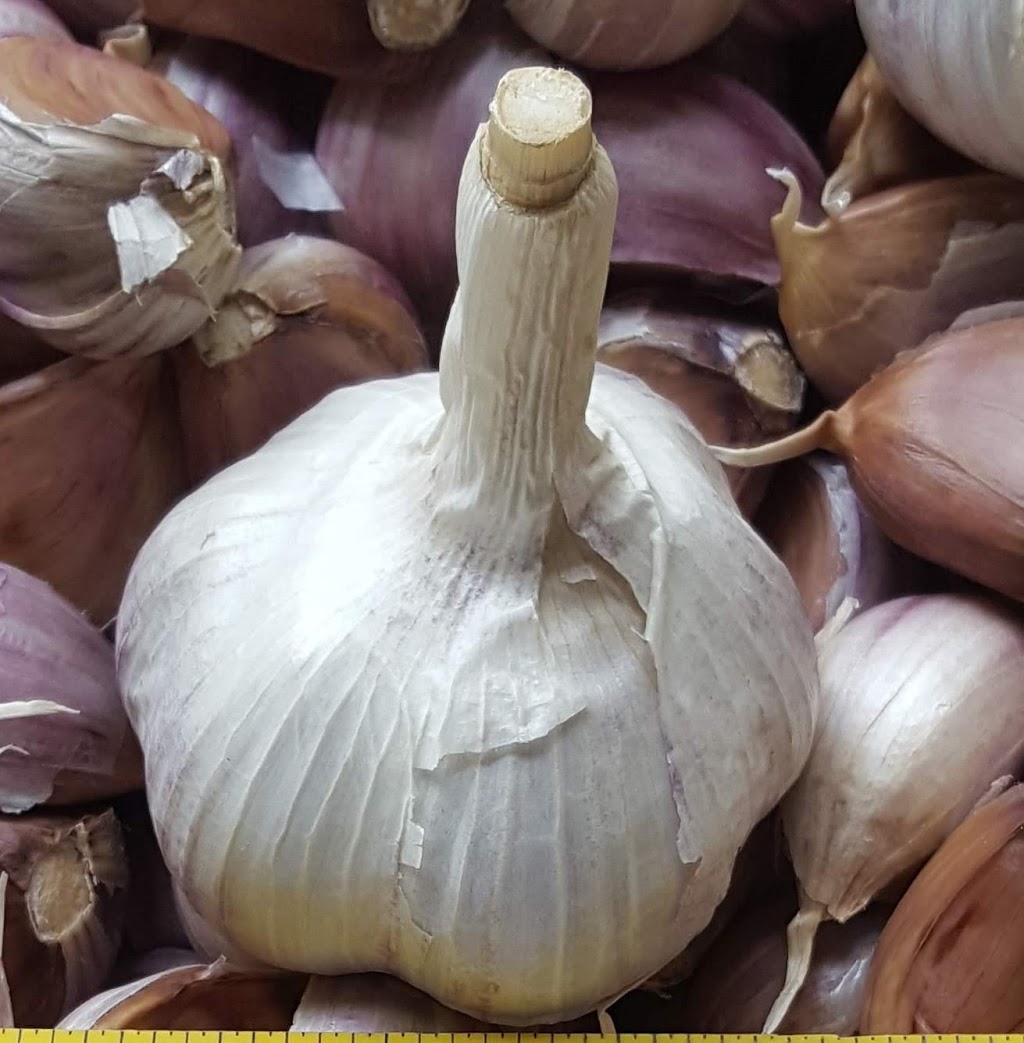 Durant Gourmet Garlic | 7272 L & a Rd, Vernon, BC V1B 3S8, Canada