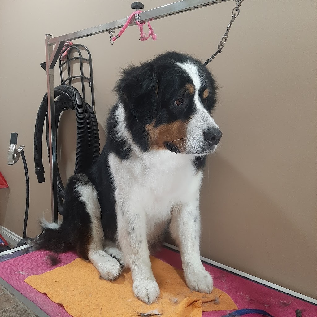 Loves Dogs - Grooming | 2073 High Country Rise, High River, AB T1V 0C9, Canada | Phone: (403) 336-2734