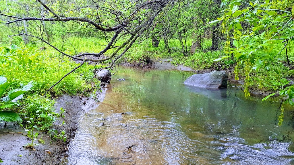 Dumfries Conservation Area | Dunbar Rd, Cambridge, ON N3H 4W6, Canada | Phone: (519) 621-3697