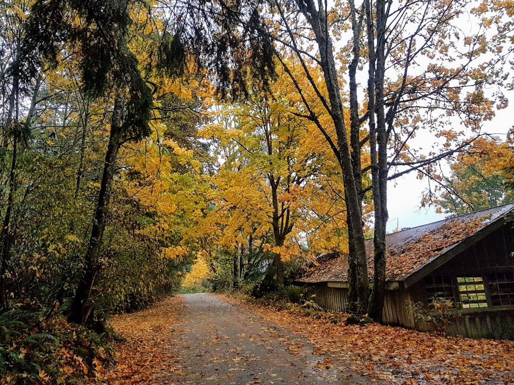 Burgoyne Bay Provincial Park | Burgoyne Bay Rd, Salt Spring Island, BC V8K 2A6, Canada | Phone: (250) 539-2115
