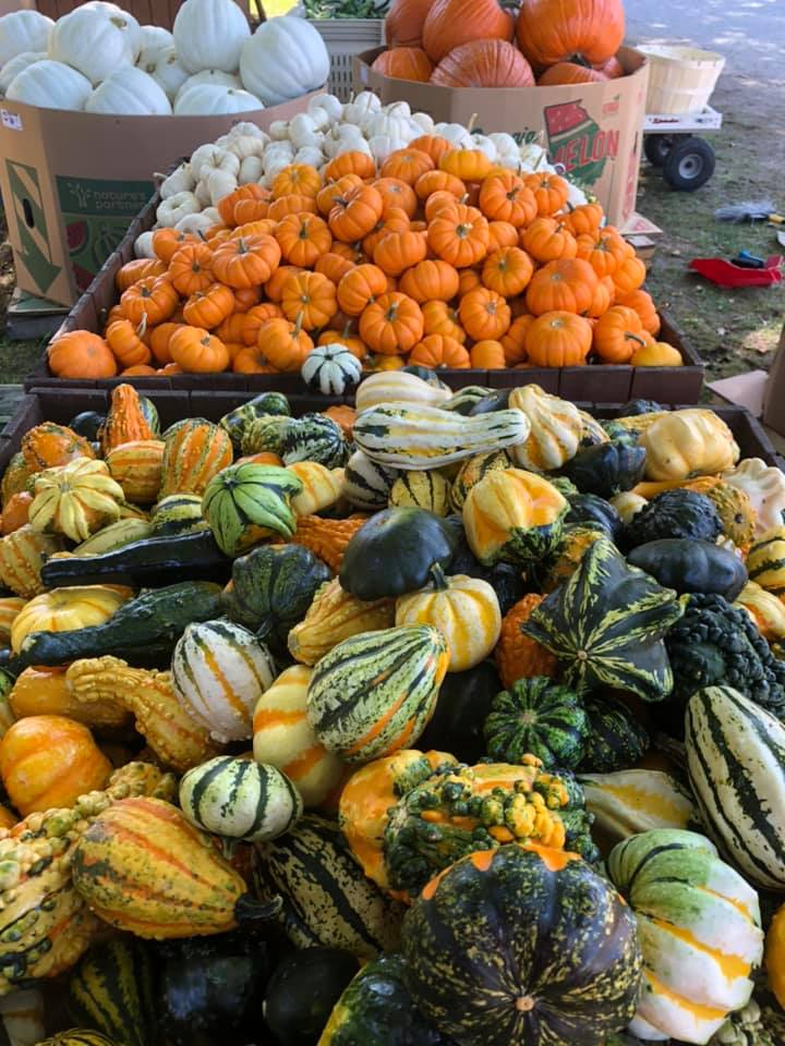 YFM - Beachville Rd Market | 585085 Beachville Rd, Woodstock, ON N4S 7V6, Canada | Phone: (519) 535-1835