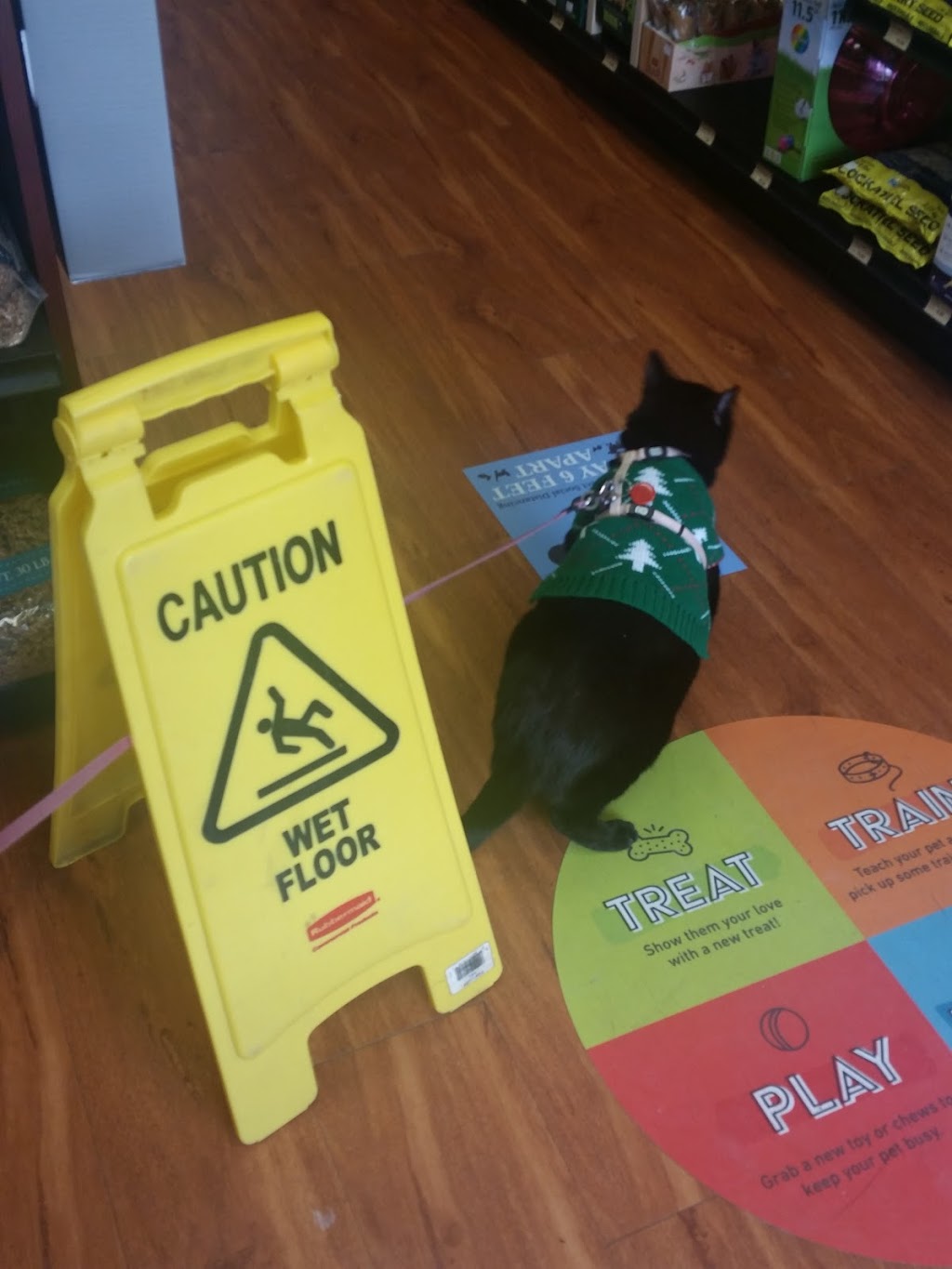 Pet Valu | 963 Central Ave, Greenwood, NS B0P 1N0, Canada | Phone: (902) 242-3070