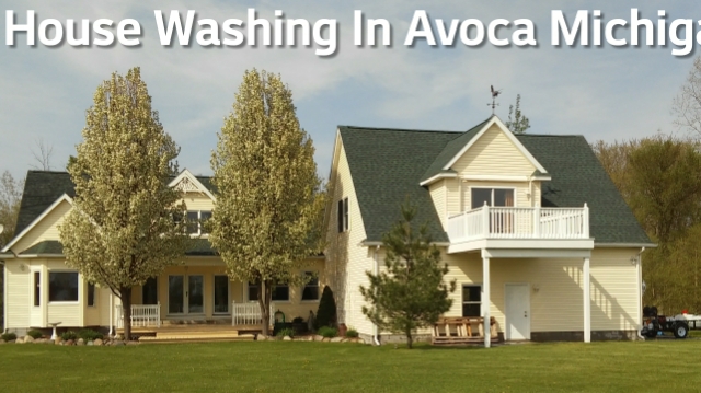 Blue Water Soft Wash Roof And Exterior Cleaning Plus Power Washi | 5790 Wildcat Rd, Croswell, MI 48422, USA | Phone: (586) 615-7637