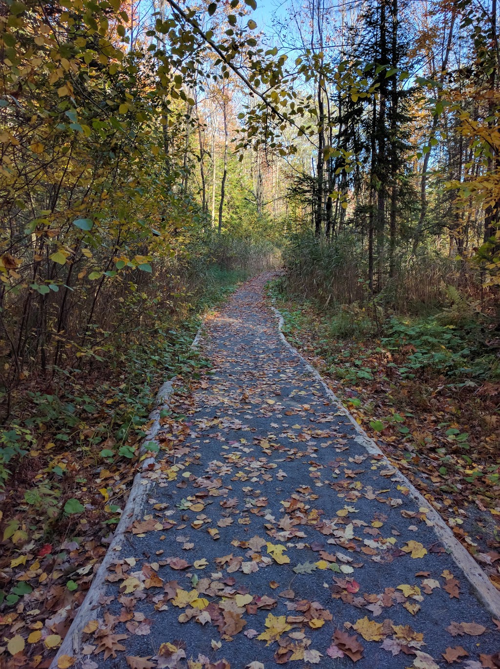 Parc régional des Grèves | 10350 Rte Marie-Victorin, Contrecoeur, QC J0L 1C0, Canada | Phone: (450) 742-4767