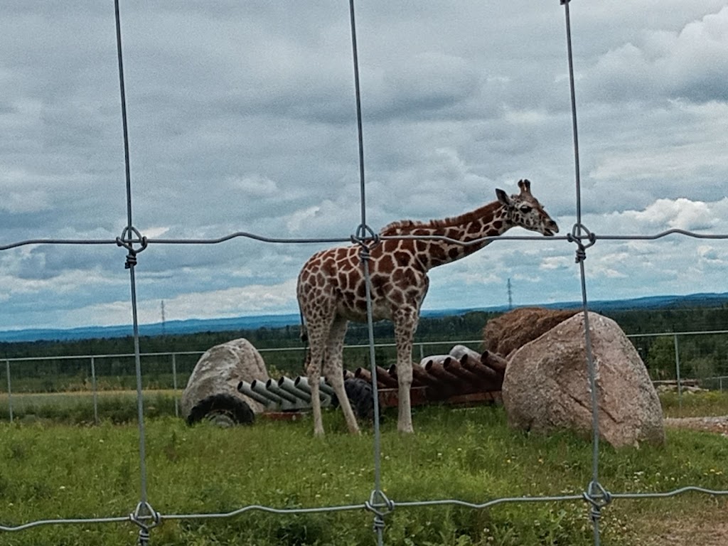 Zoo Falardeau | 309 2e Rang, Le Fjord-du-Saguenay, QC G0V 1C0, Canada | Phone: (418) 673-4602