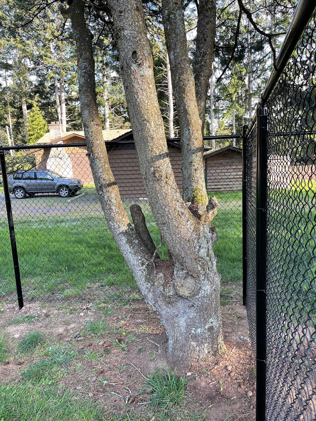 Tower Fence Products Ltd | 1080 Goldstream Ave, Victoria, BC V9B 2Y5, Canada | Phone: (250) 478-9733