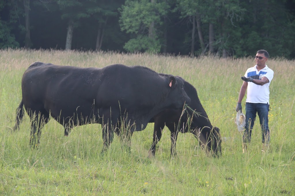 Agrifood Canada(AFC Halal Meat) | 3310 Concession Rd 7, Ramara, ON L0K 1B0, Canada | Phone: (416) 878-7947