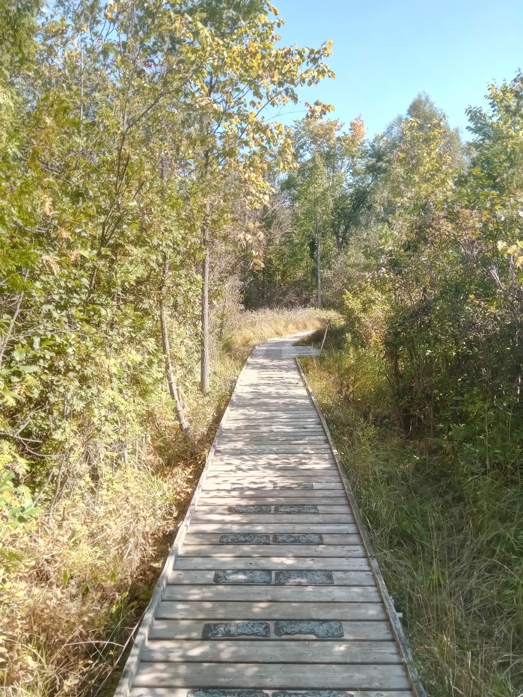 Bannockburn Conservation Area | 76249 Bannockburn Line, Exeter, ON N0M, Canada, Canada | Phone: (888) 286-2610