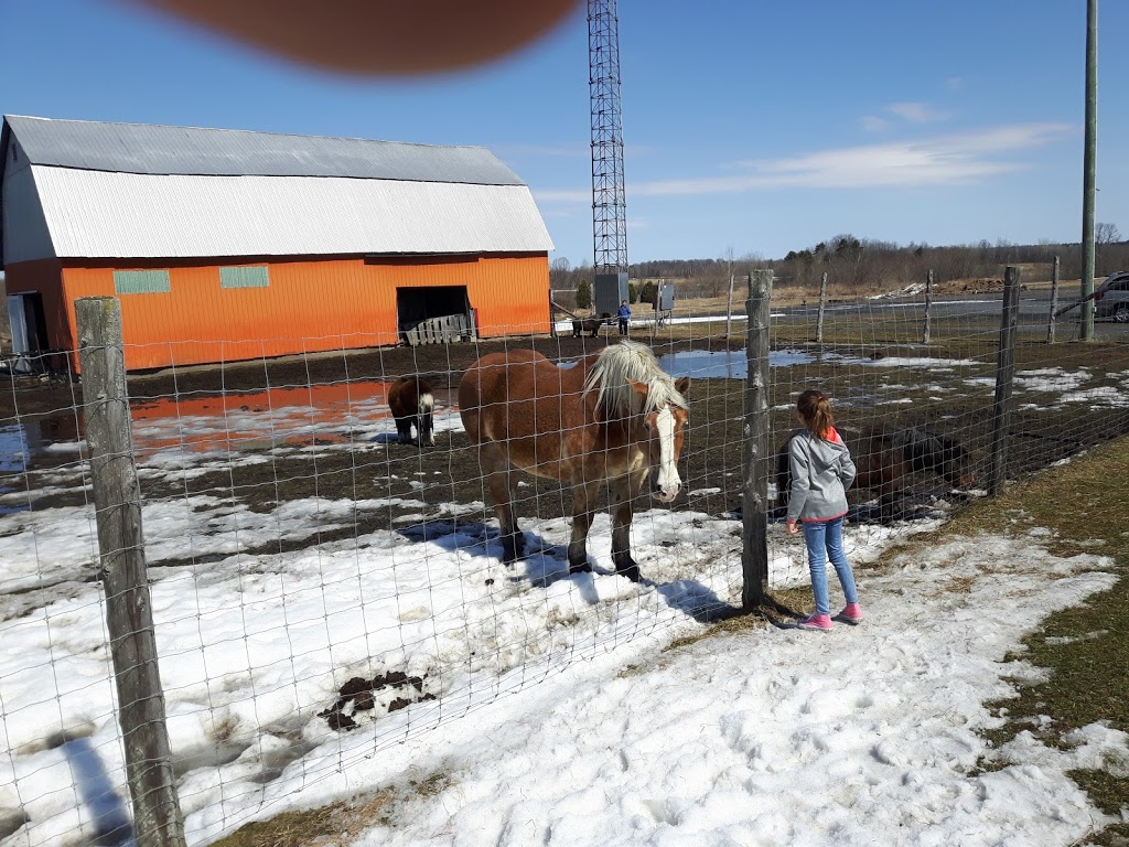 Ferme Drouin Farm | 1230 Rte 400, Casselman, ON K0A 1M0, Canada | Phone: (613) 764-2181