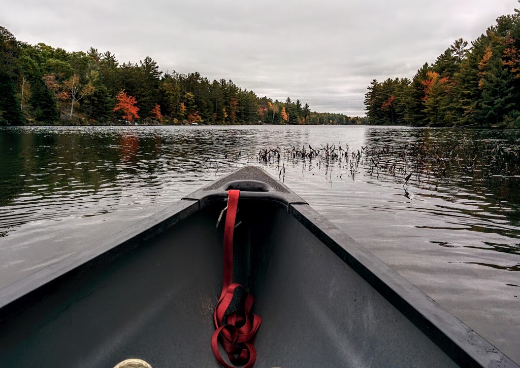 Wolf Lake Access #4, Kawartha Highlands Provincial Park | 854-, 1122 Anstruther Lake Rd, Harcourt, ON K0L, Canada | Phone: (613) 332-3940 ext. 261