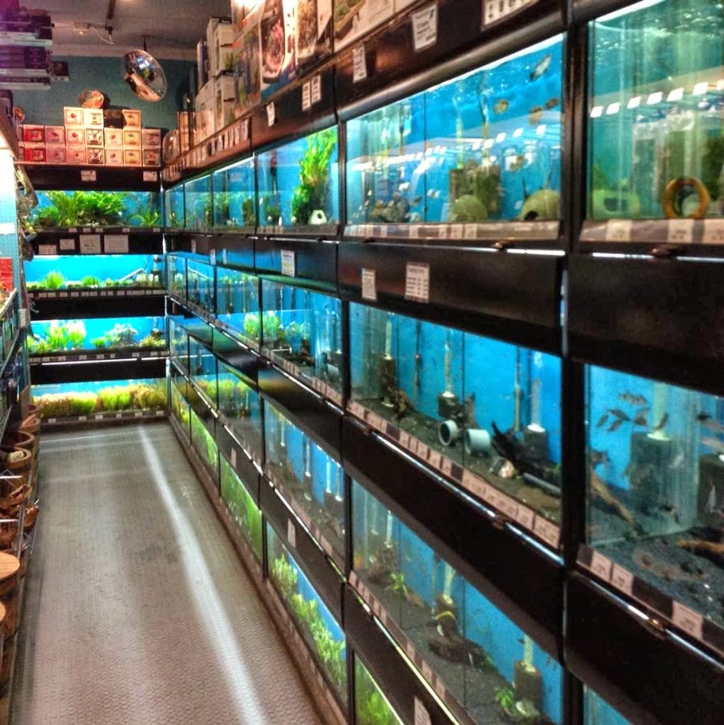 Menagerie Pet Shop | 549 Parliament St, Toronto, ON M4X 1P7, Canada | Phone: (416) 921-4966