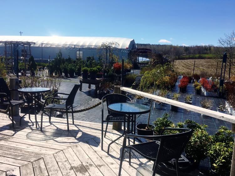Stems Cafe | 10060 Nova Scotia Trunk 1, Wolfville, NS B4P 2R2, Canada | Phone: (902) 542-2295