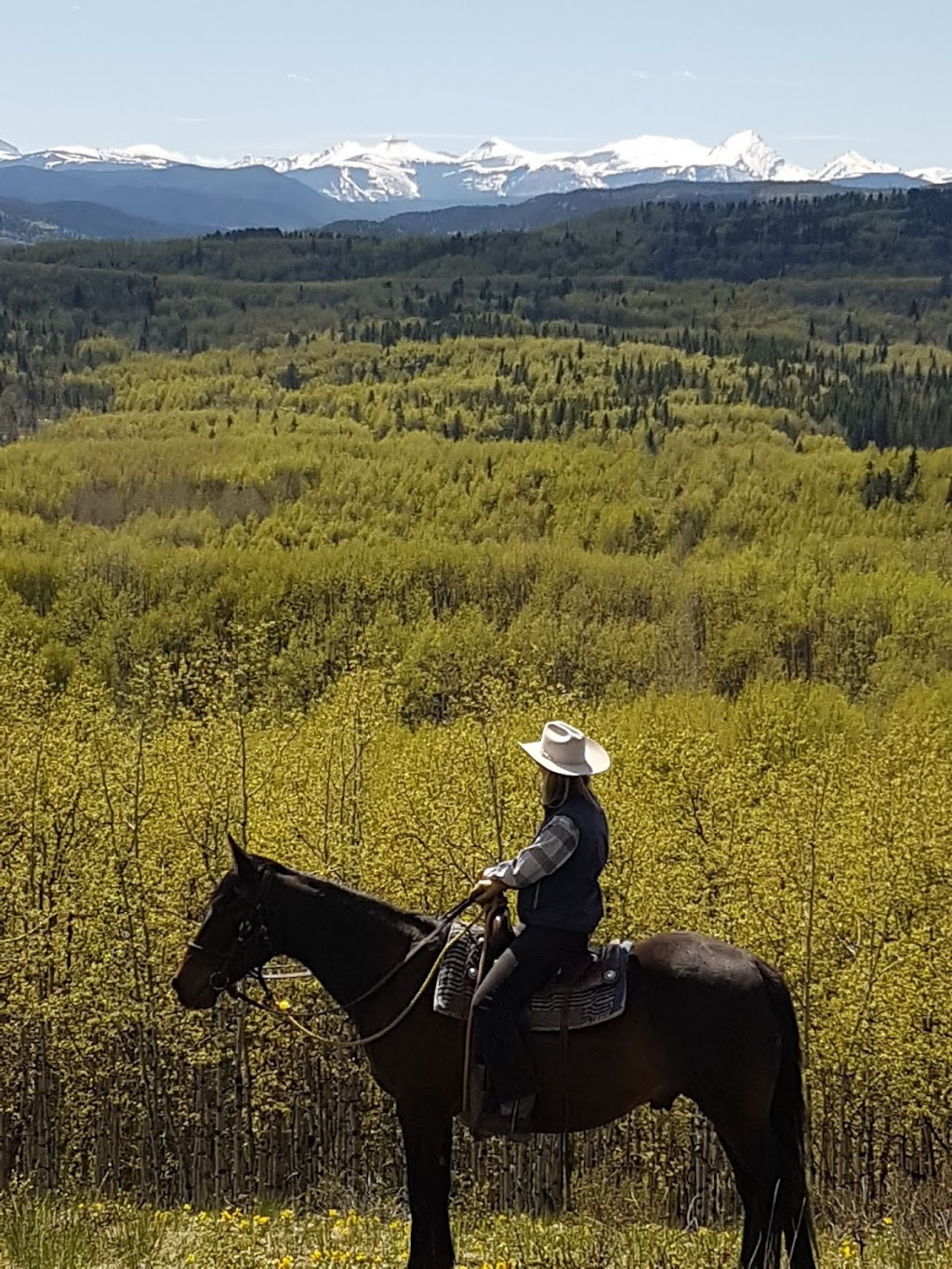 Homeplace Ranch | Foothills No. 31, AB T0L 1W0, Canada | Phone: (403) 969-4444