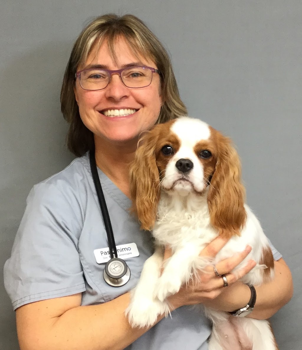 Veterinary Clinic Ile Jesus | 3625 Boulevard Dagenais O, Laval, QC H7P 5C9, Canada | Phone: (450) 963-6612