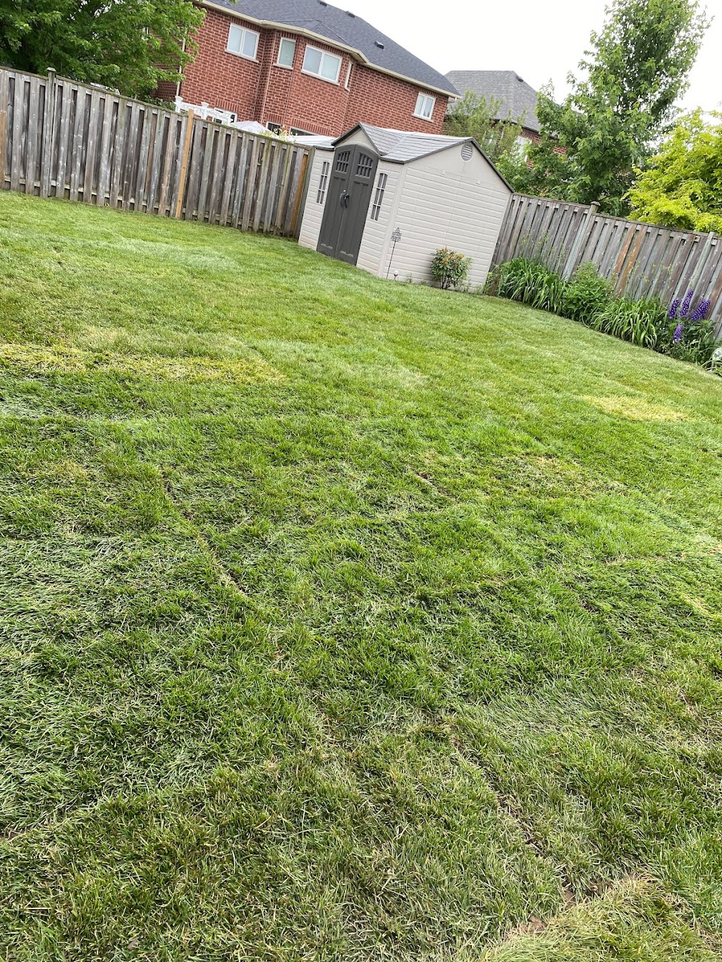ltd property services | 339 Pefferlaw Rd, Georgina, ON L0E 1N0, Canada | Phone: (416) 574-6427